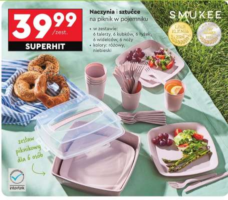 Naczynia i sztućce na piknik w pojemniku