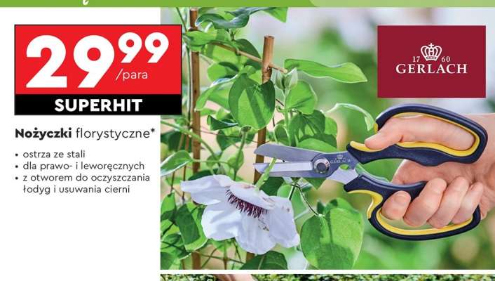Nożyczki florystyczne