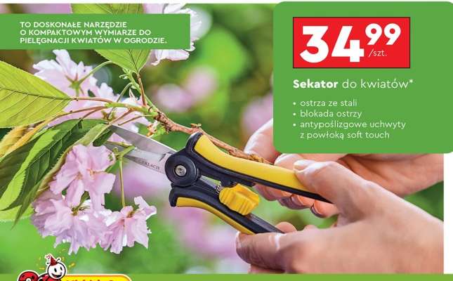 Sekator do kwiatów