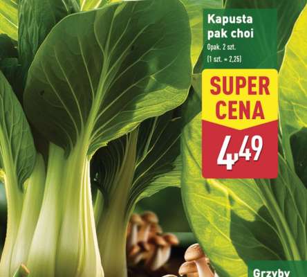 Kapusta pak choi