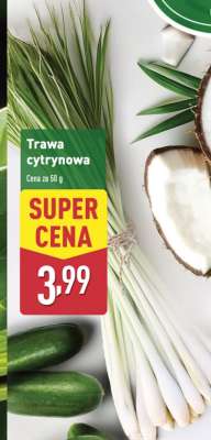 Trawa cytrynowa