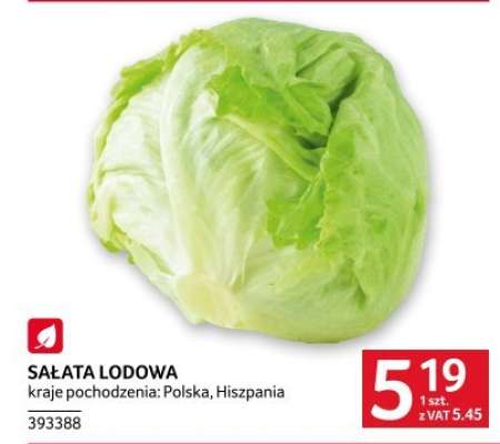Sałata lodowa