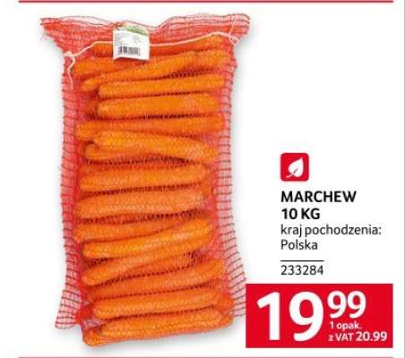 MARCHEW 10 KG
