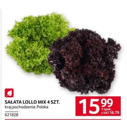 SAŁATA LOLLO MIX 4 SZT.