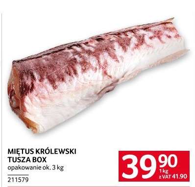 Miętus Królewski Tusza Box