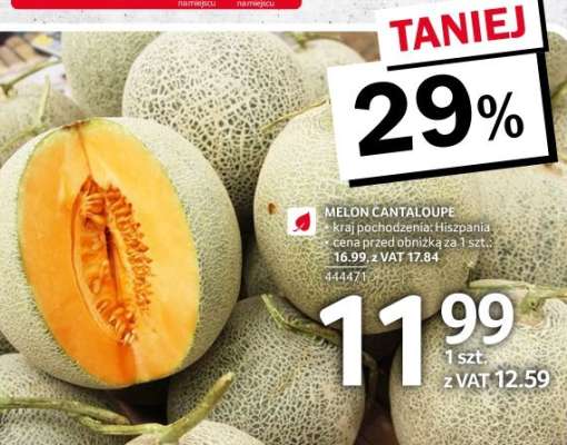 Melon CANTALOUPE