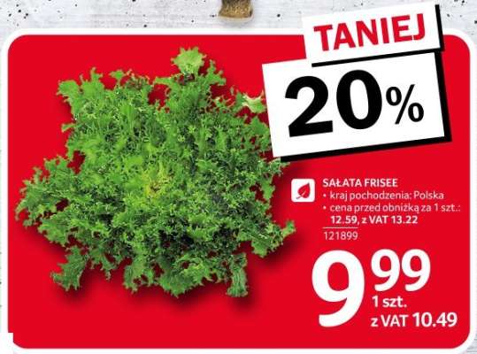 Sałata Frisee