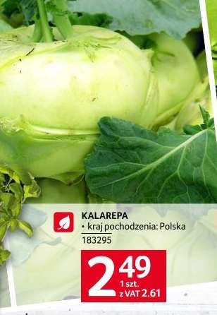 Kalarepa