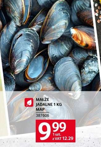 Małże jadalne 1 kg MAP