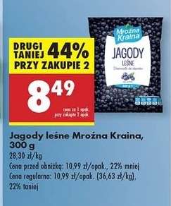 Jagody leśne Mroźna Kraina 300 g