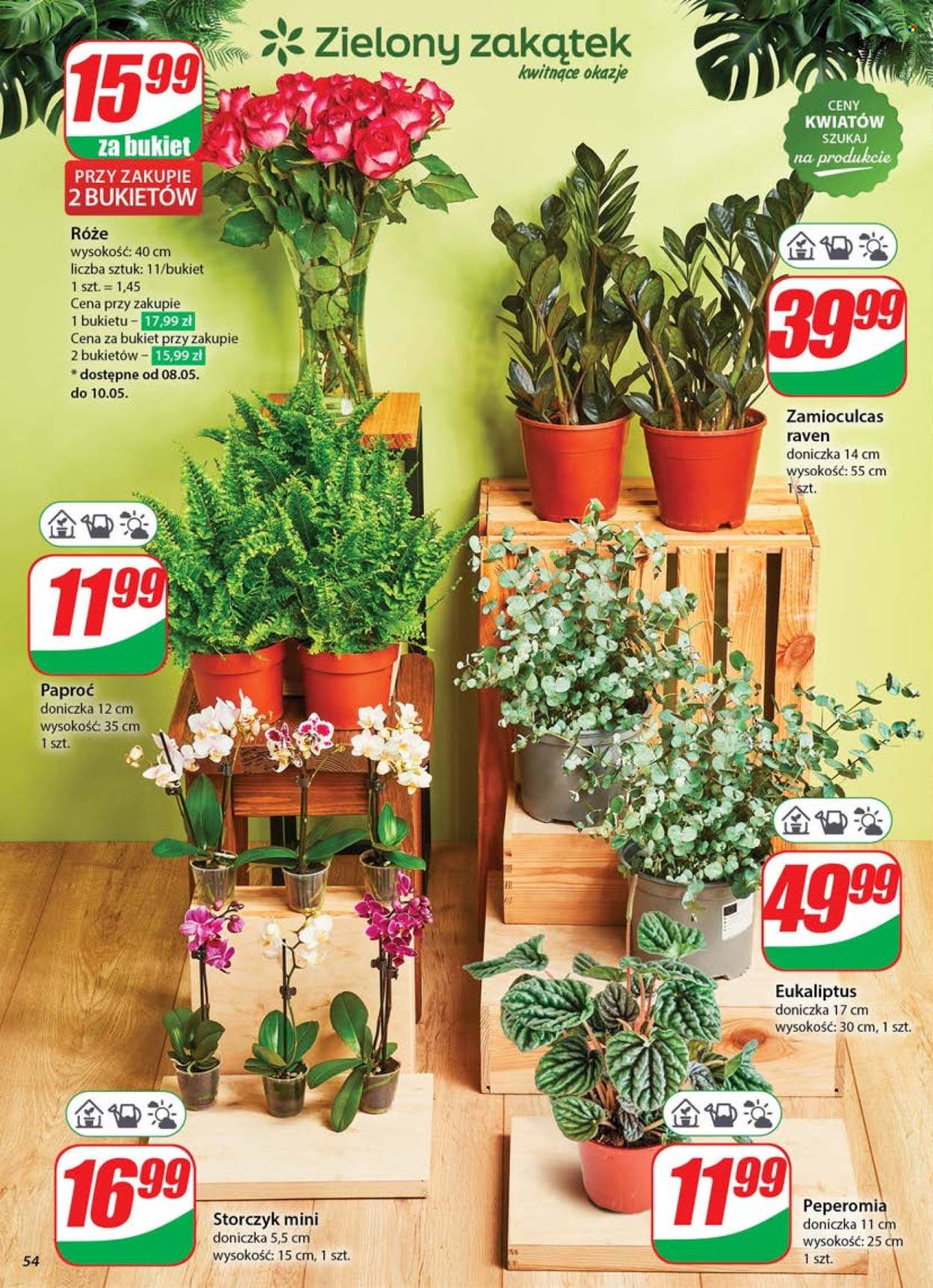 Gazetka Dino - 7.5.2025. - 13.5.2025..