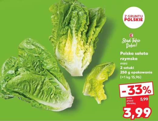 Polska sałata rzymska mini