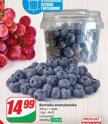 Borówka amerykańska