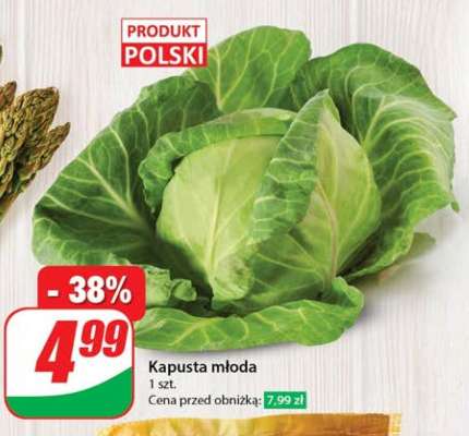 Kapusta młoda