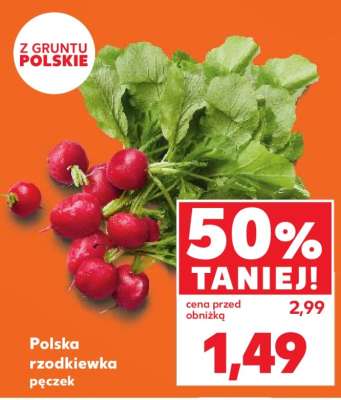 Polska rzodkiewka pęczek
