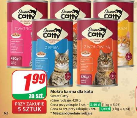 Sweet Catty
