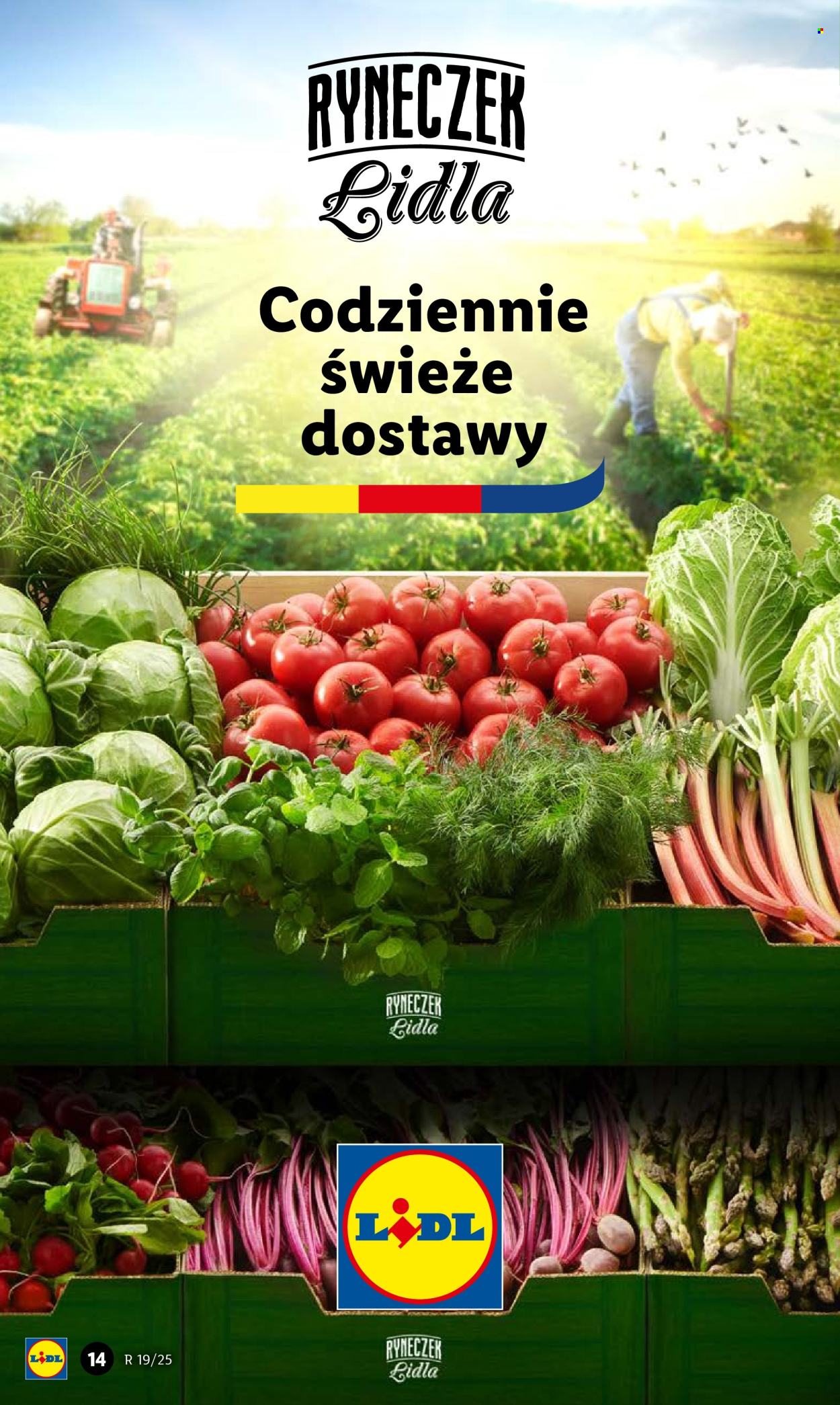 Gazetka Lidl - 8.5.2025. - 10.5.2025..