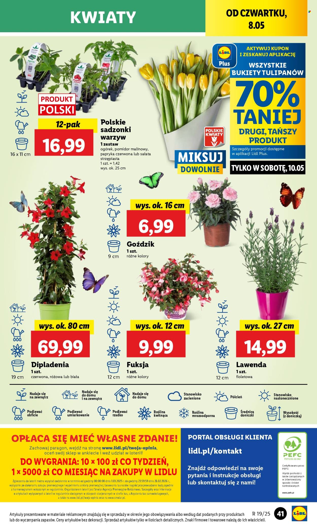 Gazetka Lidl - 8.5.2025. - 10.5.2025..