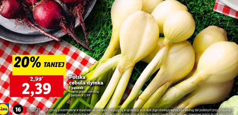 Polska cebula dymka