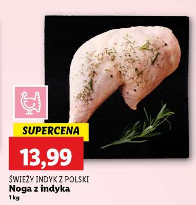 Noga z indyka