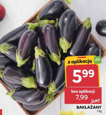 Bakłażany