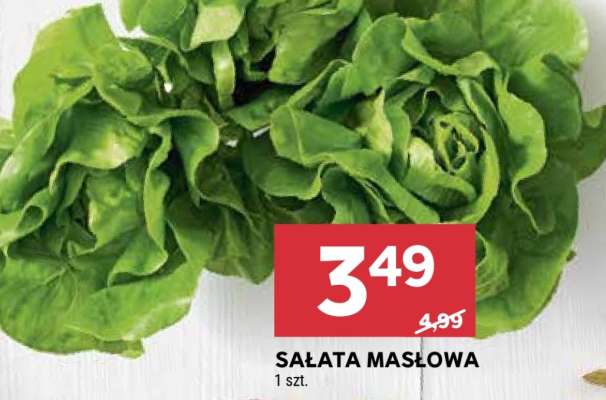 Sałata masłowa