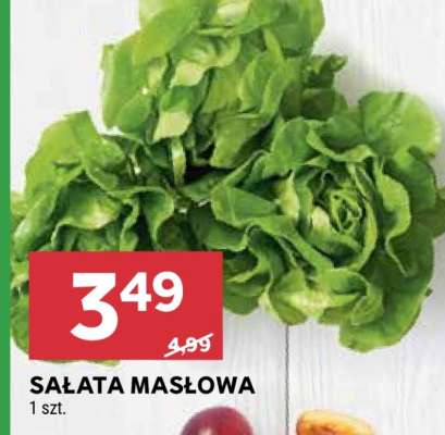 Sałata masłowa