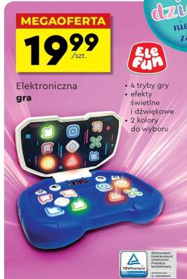 Elektroniczna gra