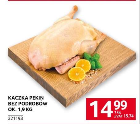 KACZKA PEKIN BEZ PODROBÓW