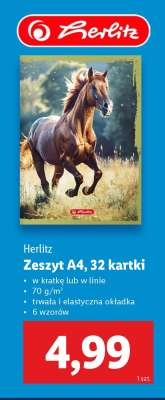Herlitz Zeszyt A4, 32 kartki