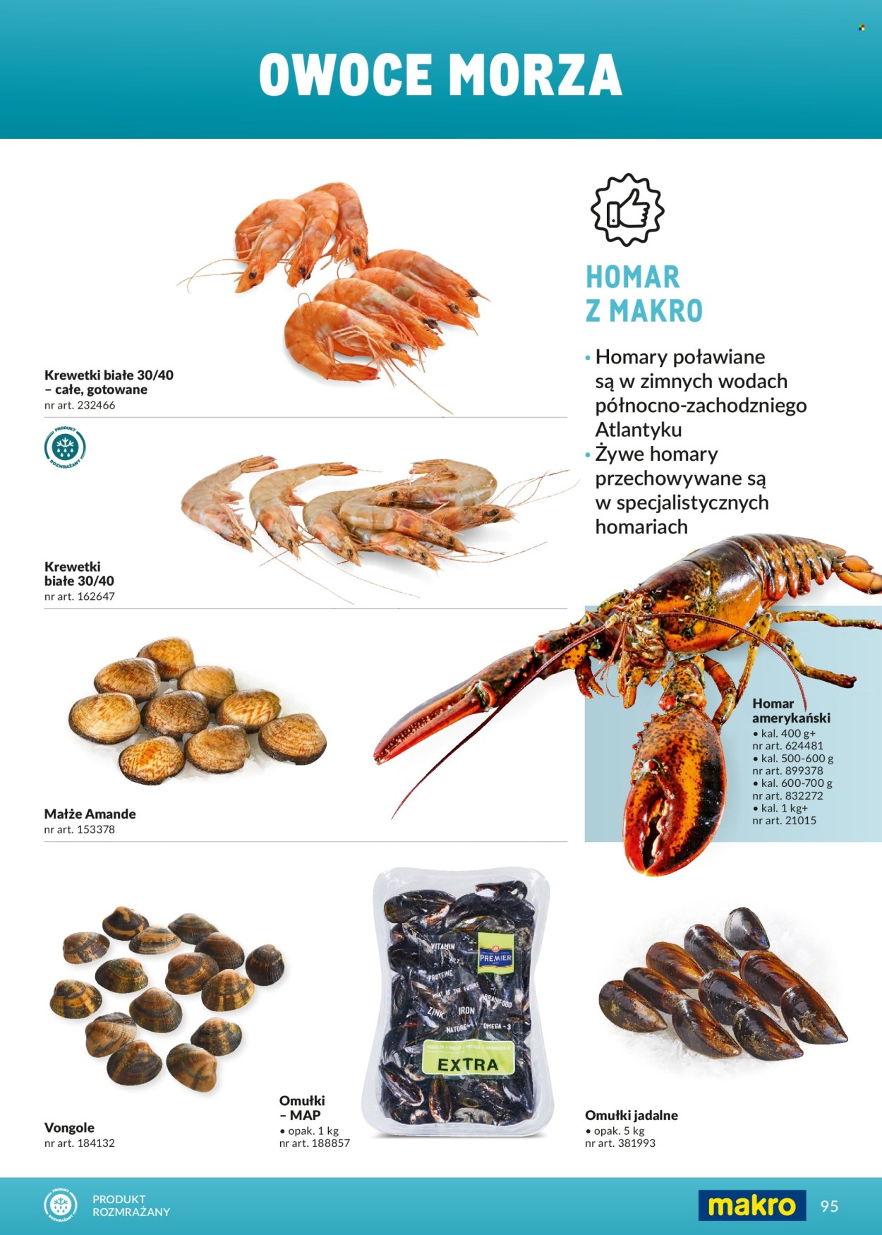 Gazetka Makro - 1.3.2026. - 31.12.2026.. Strona 95