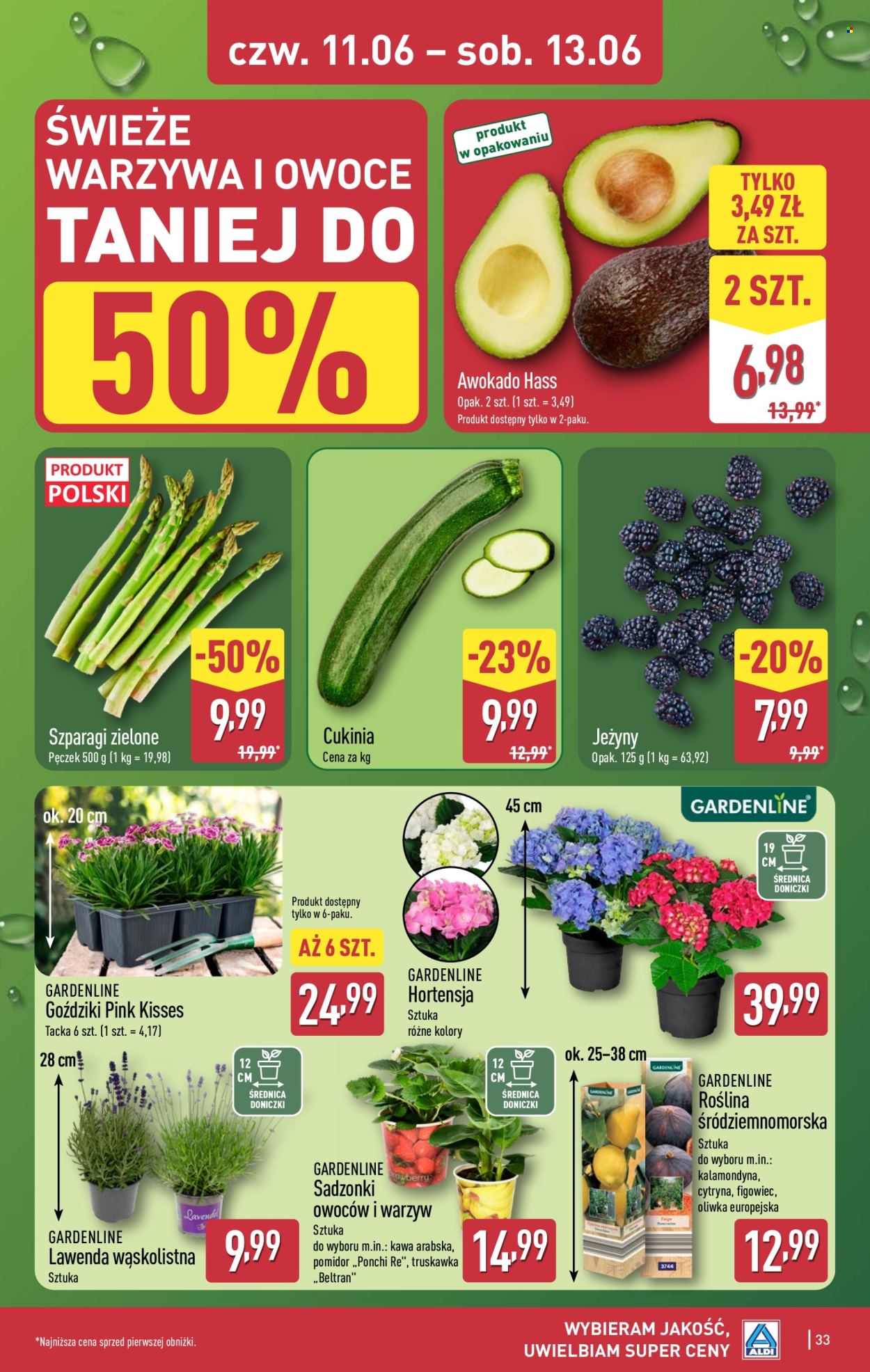 Gazetka ALDI - 8.6.2026. - 13.6.2026.. Strona 33