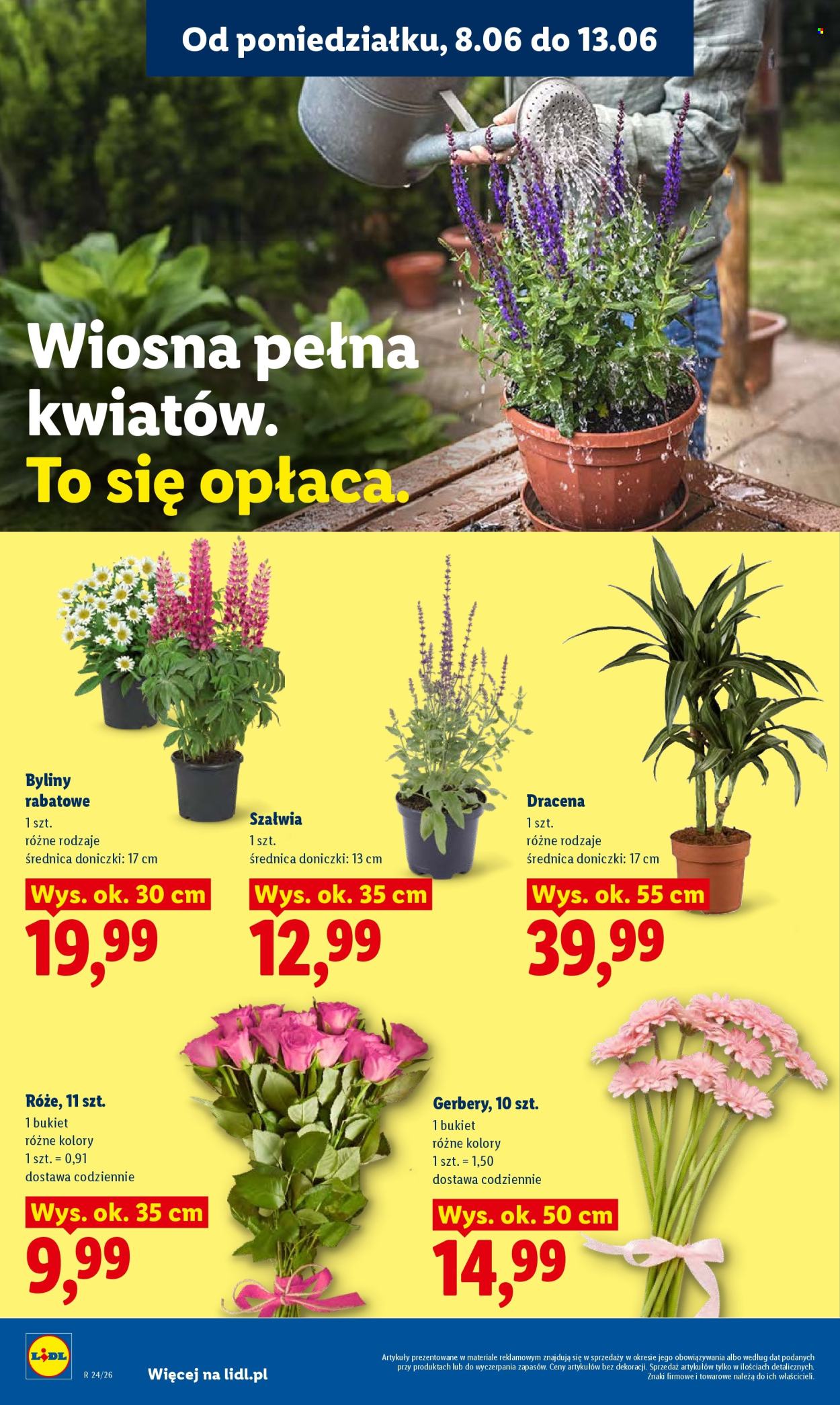 Gazetka Lidl - 8.6.2026. - 10.6.2026.. Strona 82