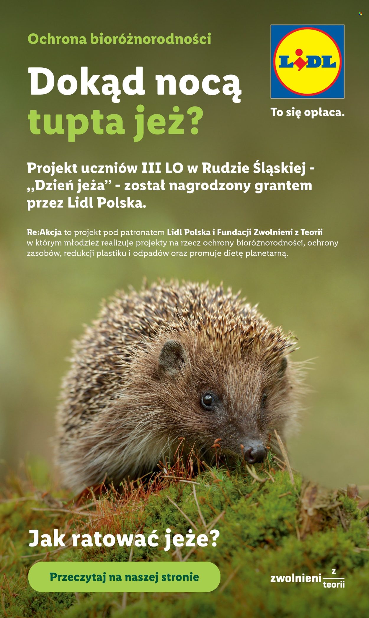 Gazetka Lidl - 8.6.2026. - 10.6.2026.. Strona 88