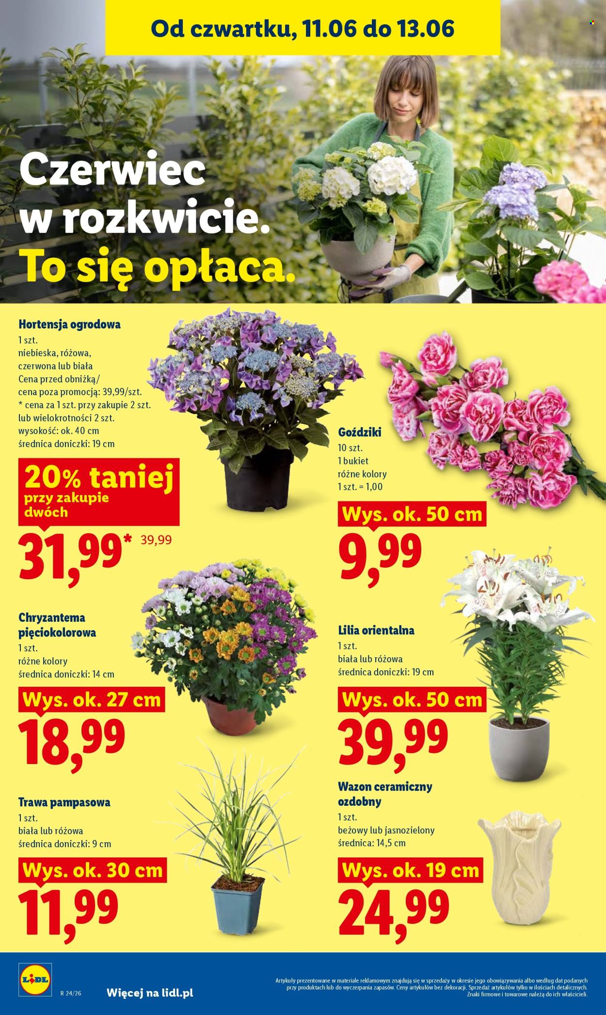 Gazetka Lidl - 11.6.2026. - 13.6.2026.. Strona 92