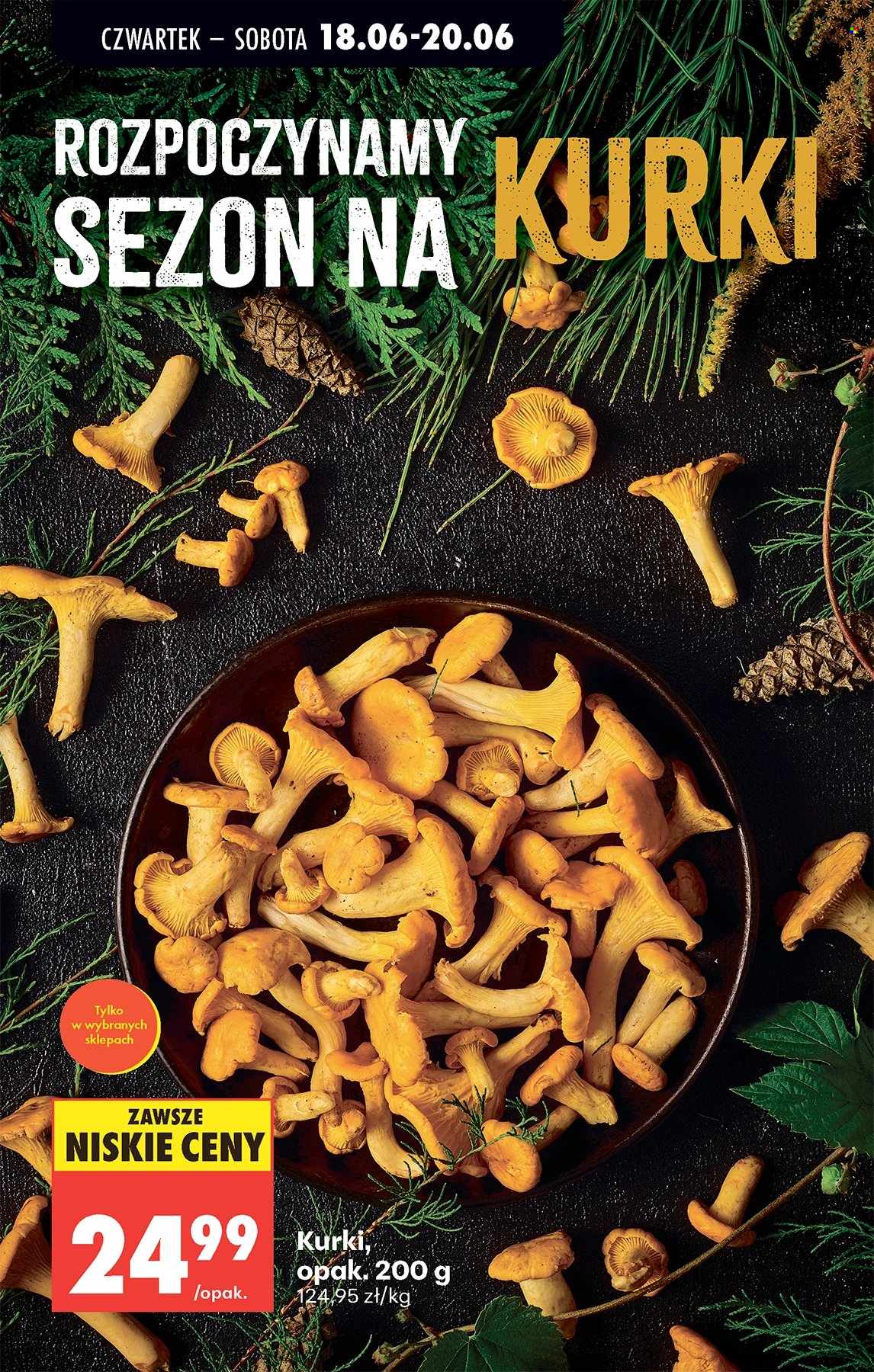 Gazetka Biedronka - 18.6.2026. - 24.6.2026.. Strona 69