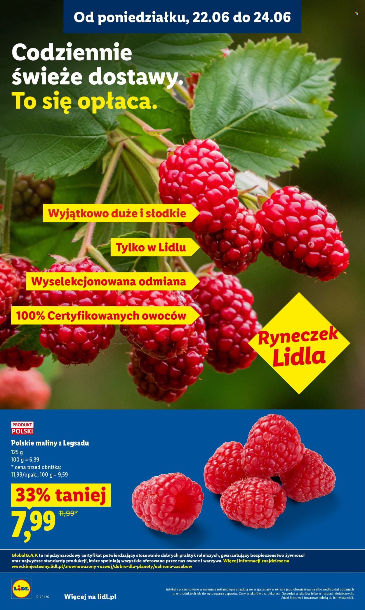 Gazetka Lidl - 22.6.2026. - 24.6.2026.. Strona 36