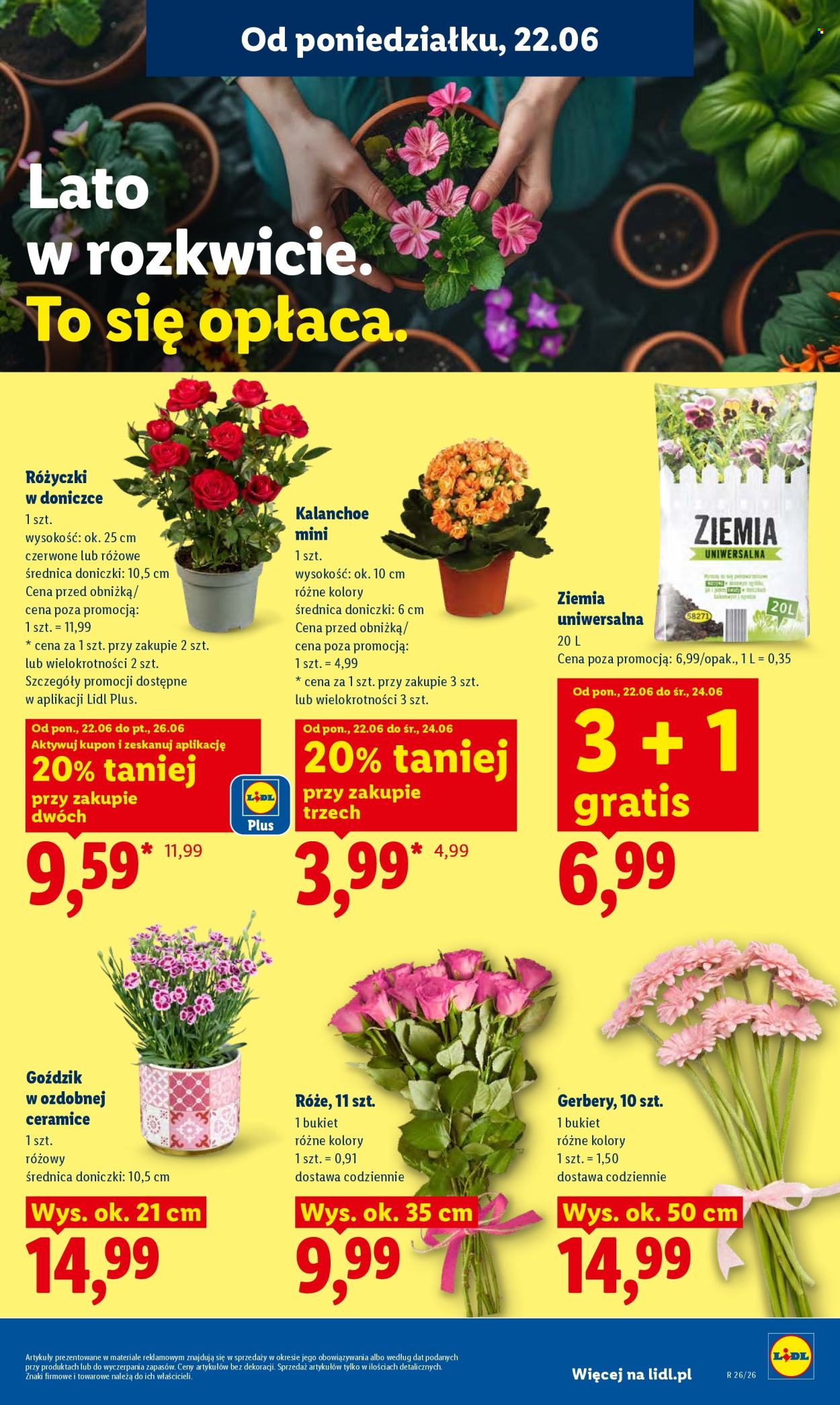 Gazetka Lidl - 22.6.2026. - 24.6.2026.. Strona 87