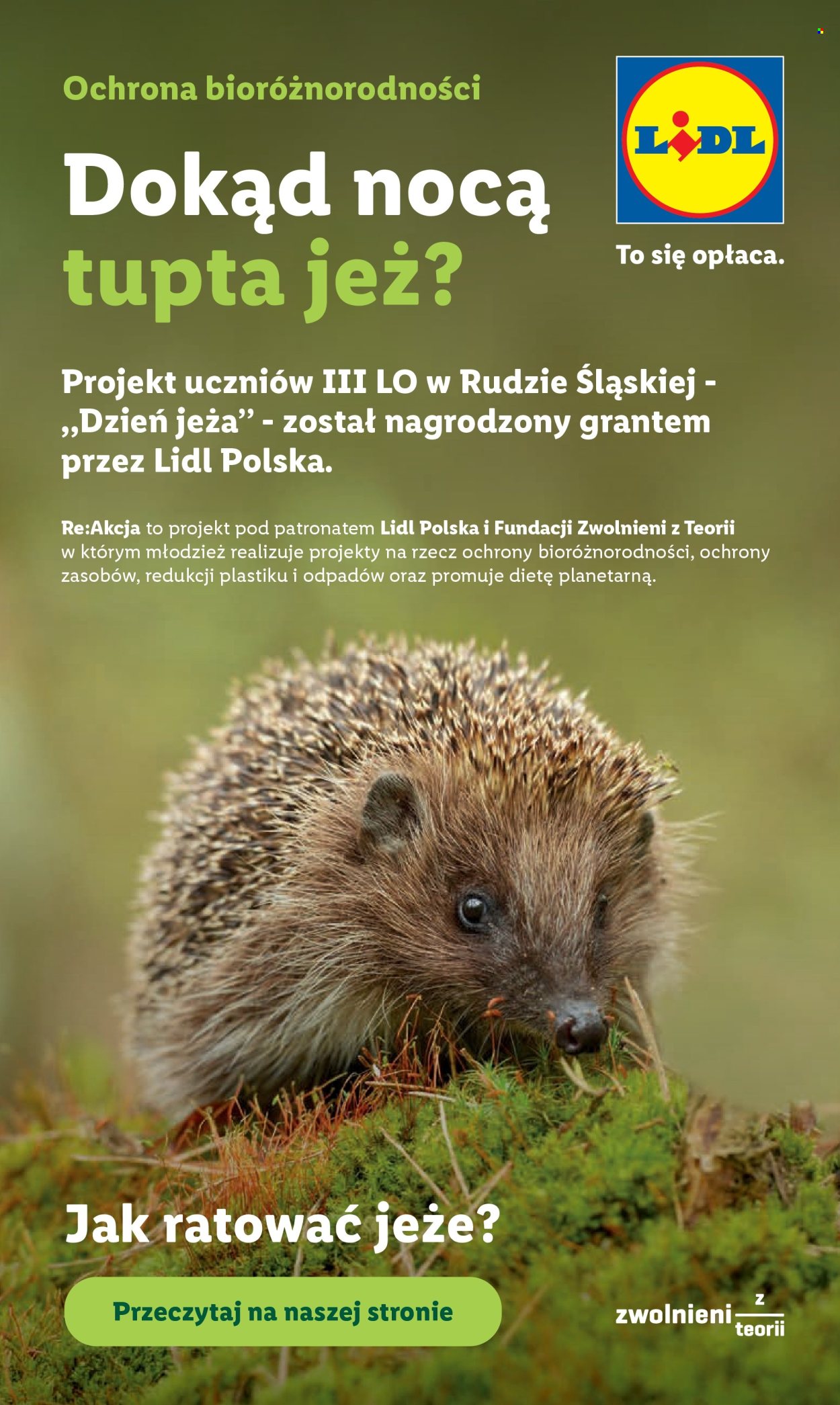 Gazetka Lidl - 22.6.2026. - 24.6.2026.. Strona 99