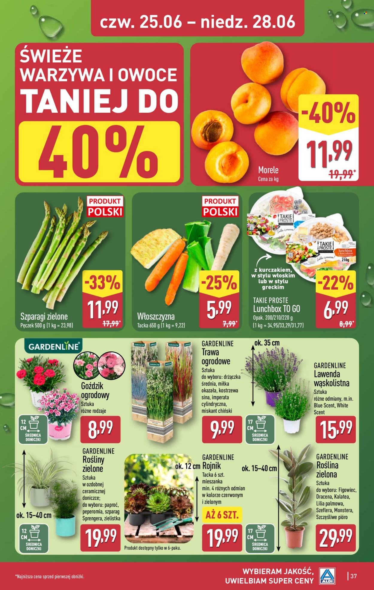 Gazetka ALDI - 22.6.2026. - 28.6.2026.. Strona 37