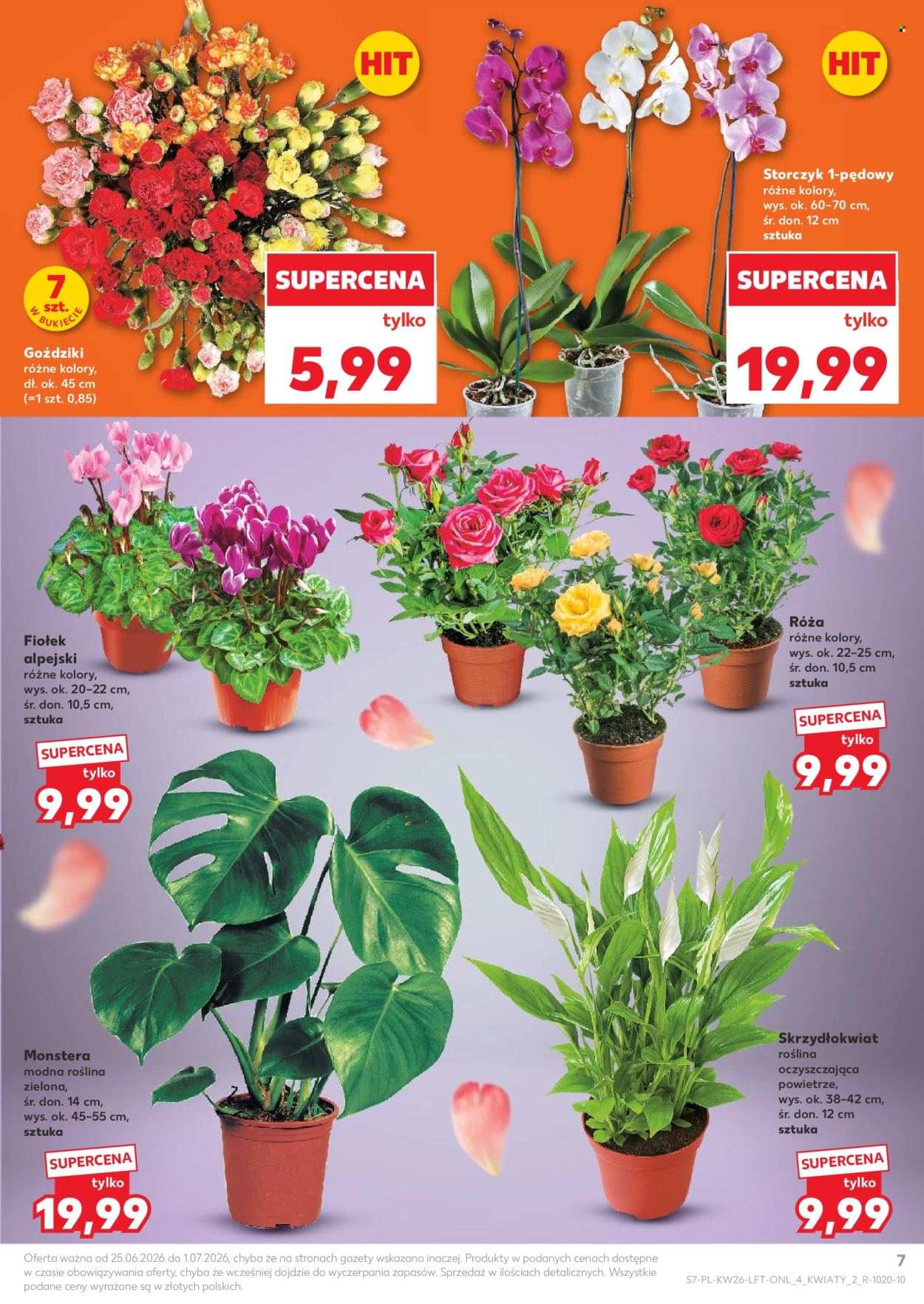 Gazetka Kaufland - 25.6.2026. - 1.7.2026.. Strona 7