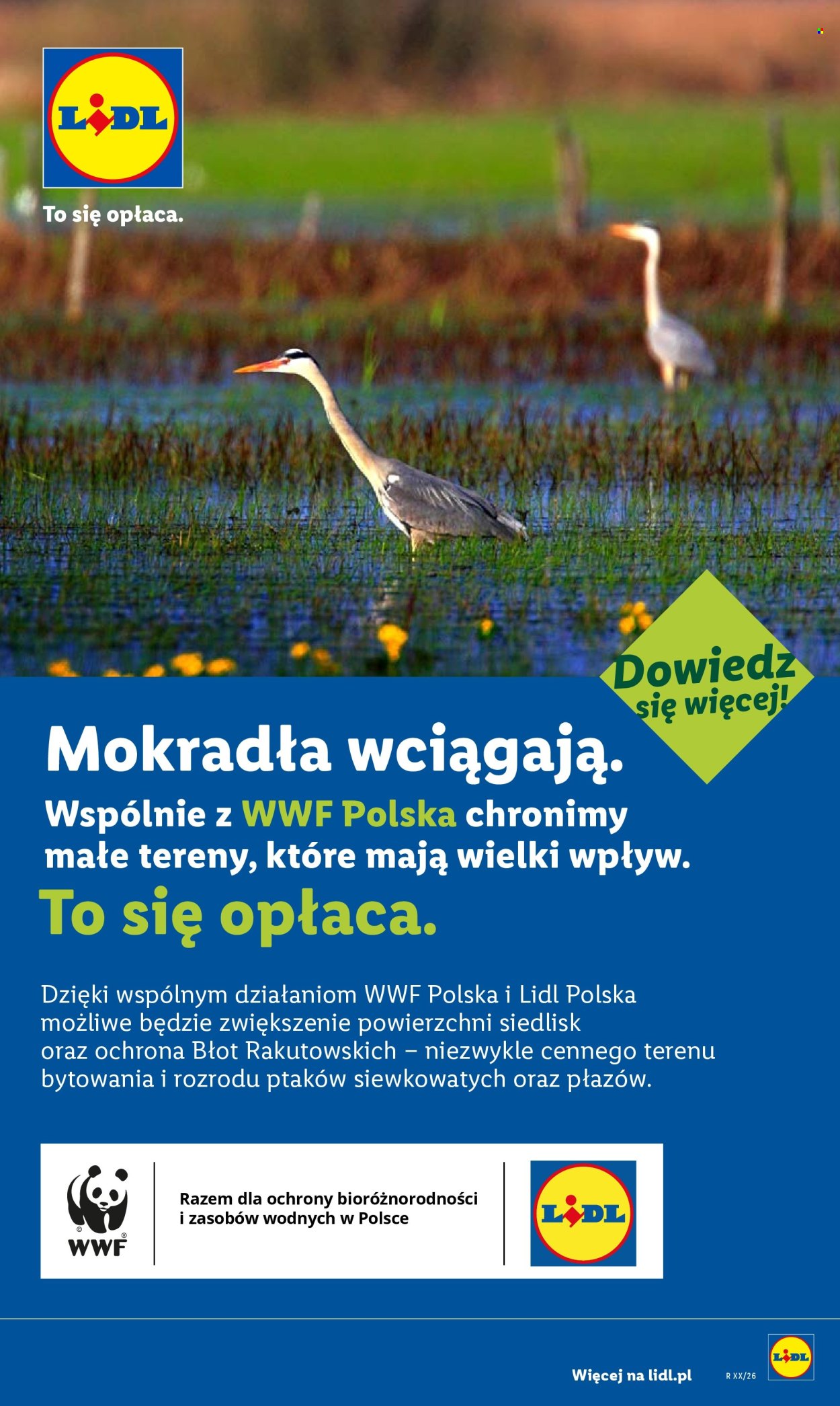 Gazetka Lidl - 6.7.2026. - 11.7.2026.. Strona 60