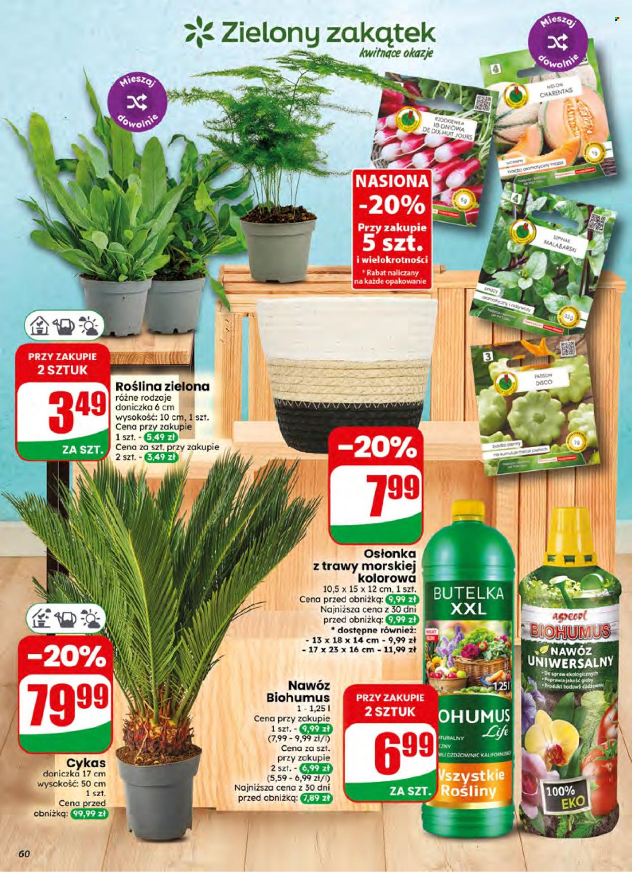 Gazetka Dino - 1.7.2026. - 7.7.2026.. Strona 60