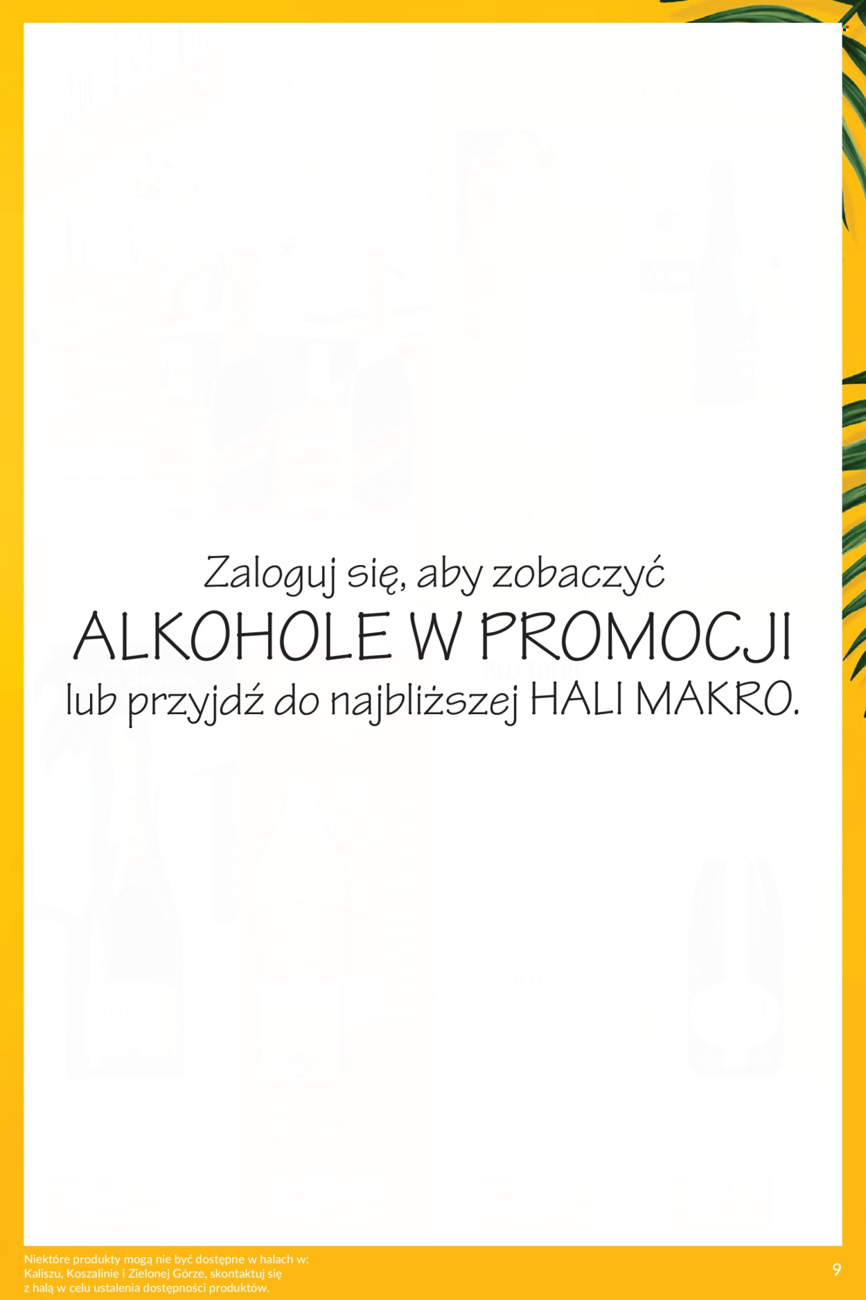 Gazetka Makro - 7.7.2026. - 3.8.2026.. Strona 9