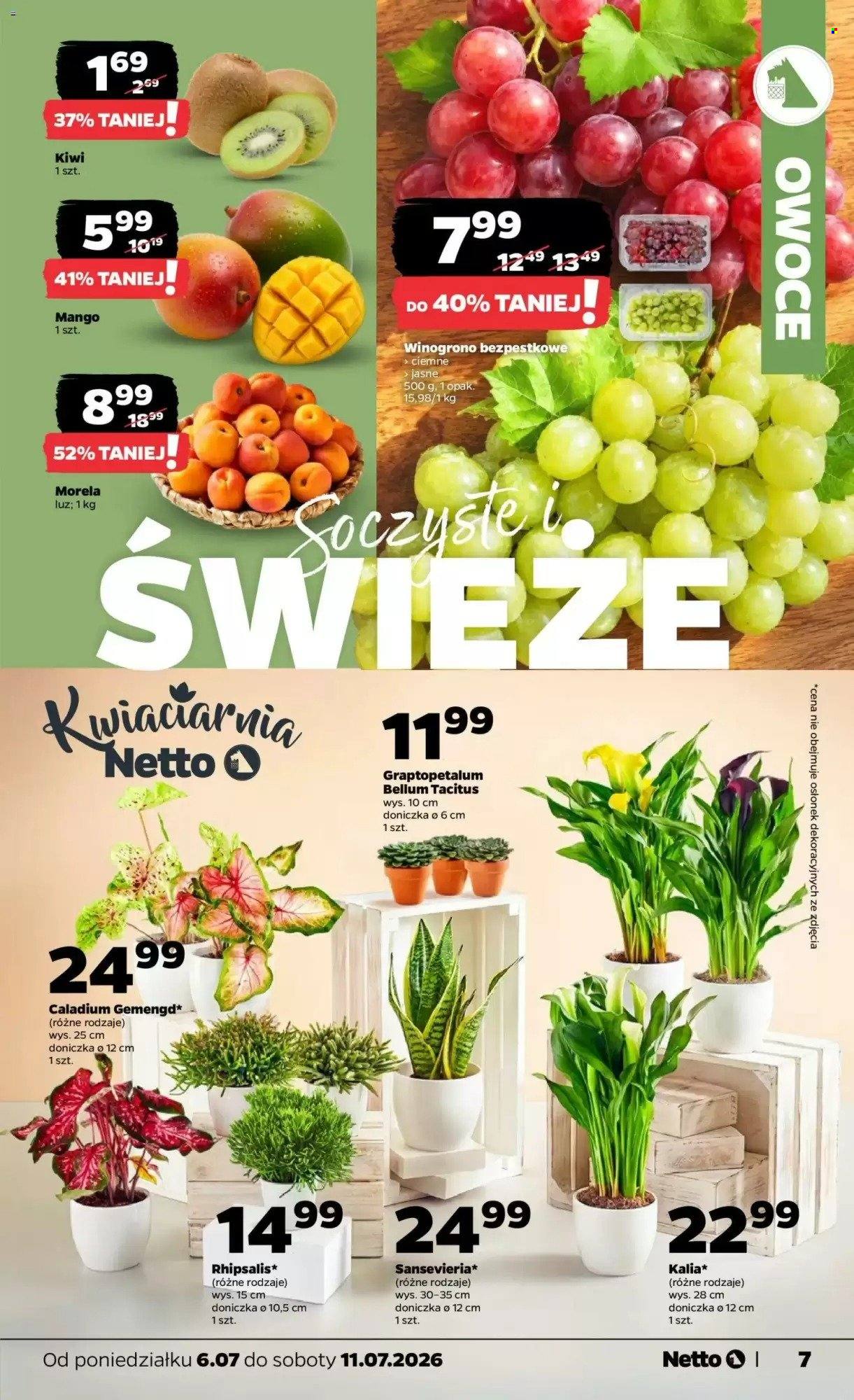 Gazetka Netto - 6.7.2026. - 11.7.2026.. Strona 7
