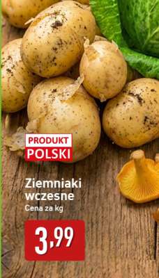 Ziemniaki wczesne