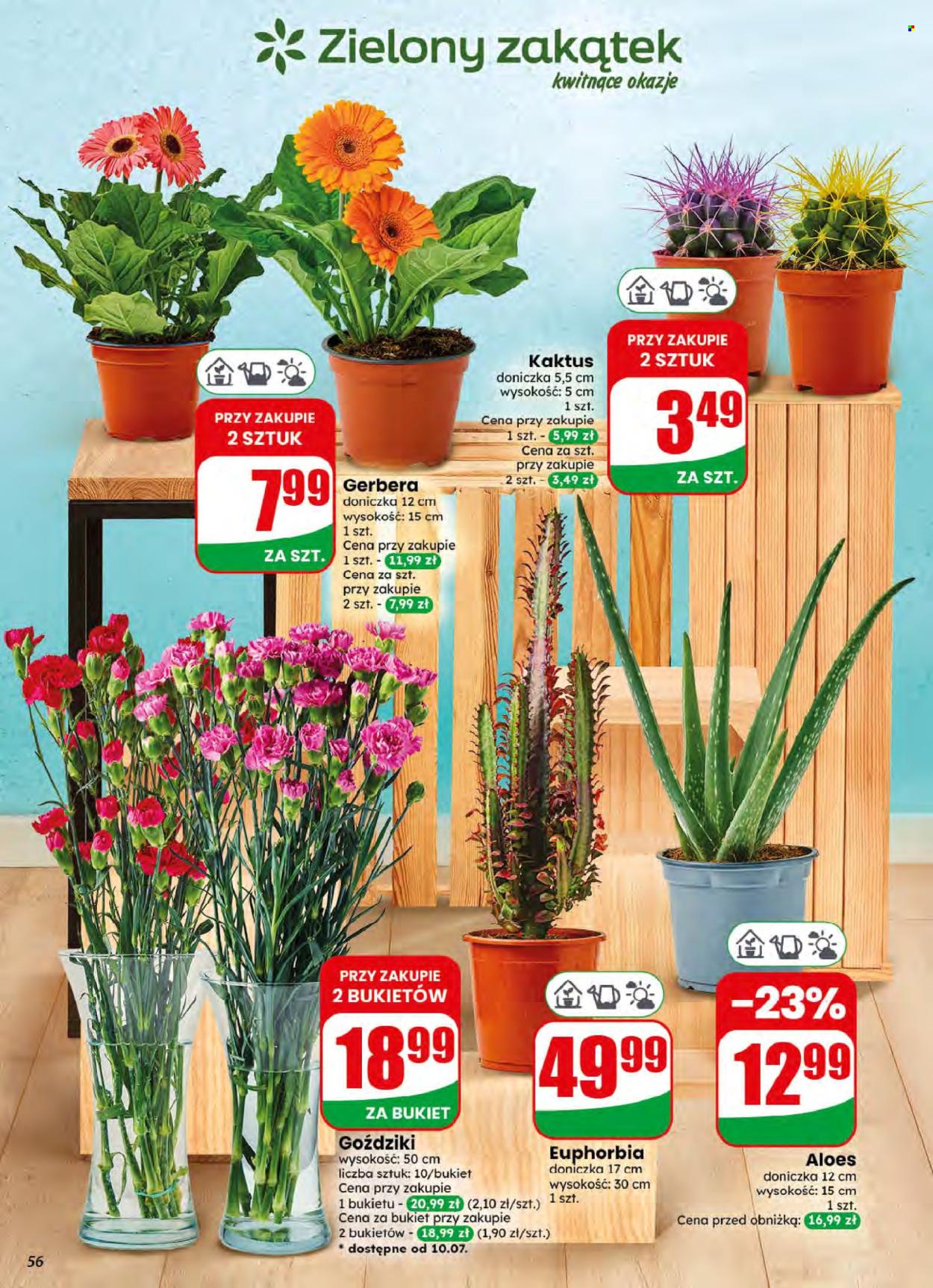 Gazetka Dino - 8.7.2026. - 14.7.2026.. Strona 56