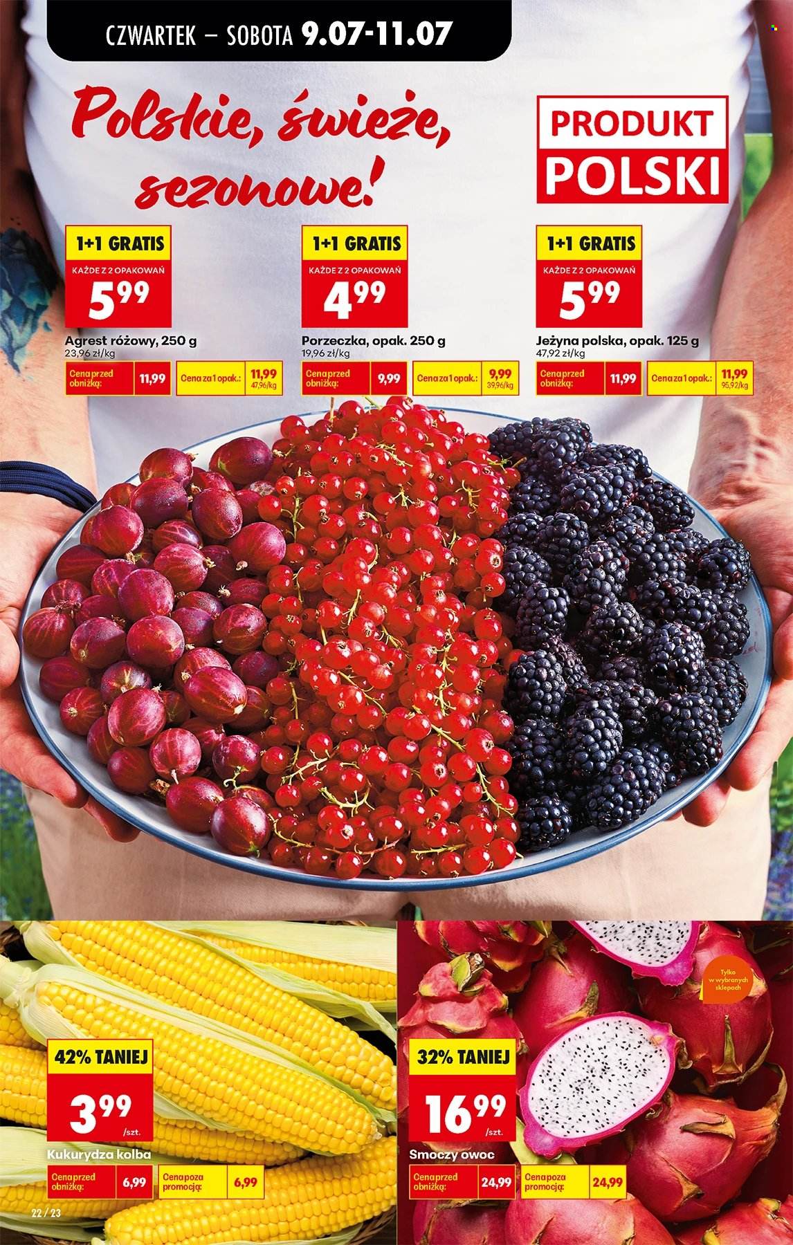 Gazetka Biedronka - 9.7.2026. - 15.7.2026.. Strona 22