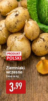 Ziemniaki wczesne