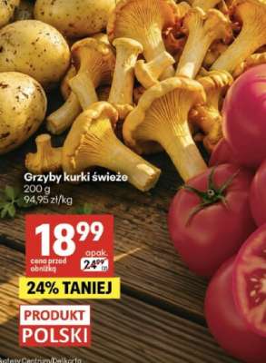 Grzyby kurki świeże